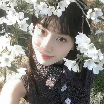我的“狐朋狗友